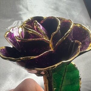 I Hate Steven Singer Magenta sparkle 24kt gold dipped real rose